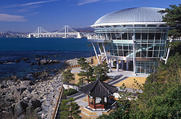 冬柏岛 전경