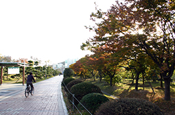 和平公园 전경