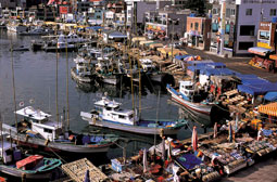 Daebyeon Port/Anchovy Theme Park landscape