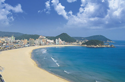 Songjeong Beach Landscape