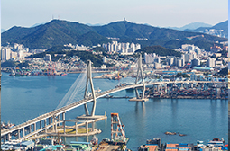 Busan Harbor Bridge Landscape