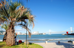 水営川辺(経由) landscape