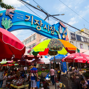 기장시장 대표사진