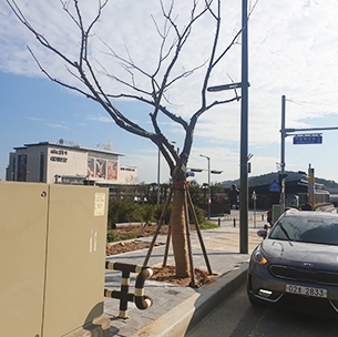 아난티코브(힐튼부산) 대표사진